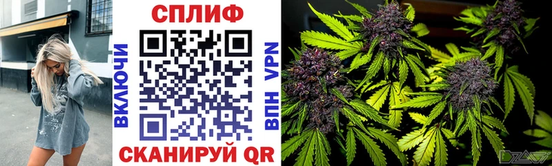 Бошки марихуана AK-47  Купить где  Анадырь 